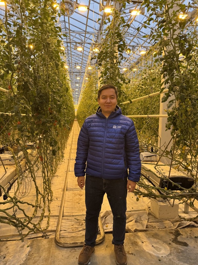 Elbek Ochilov standing between rows of tomato plants in a lit greenhouse