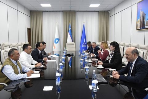 Делегации за столом переговоров с флагами